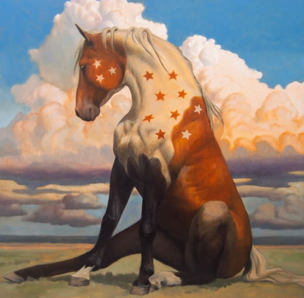 Kym Day, Star Spangled Stallion