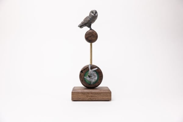 Tyrel Johnson - Natures Pendulum