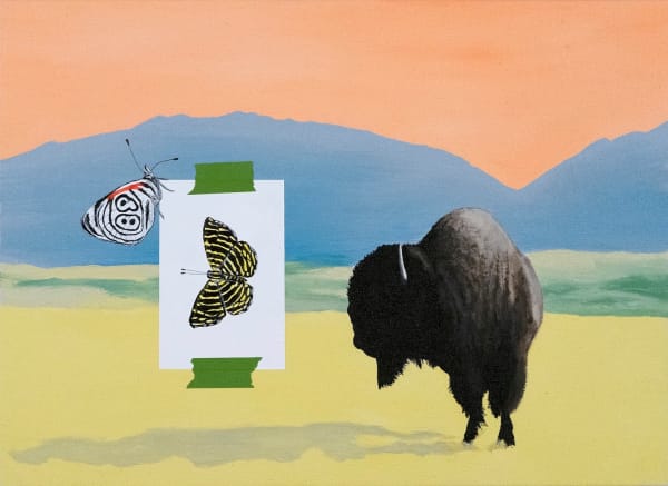 Heimir Björgúlfsson, Study for a Frivolous Lawsuit