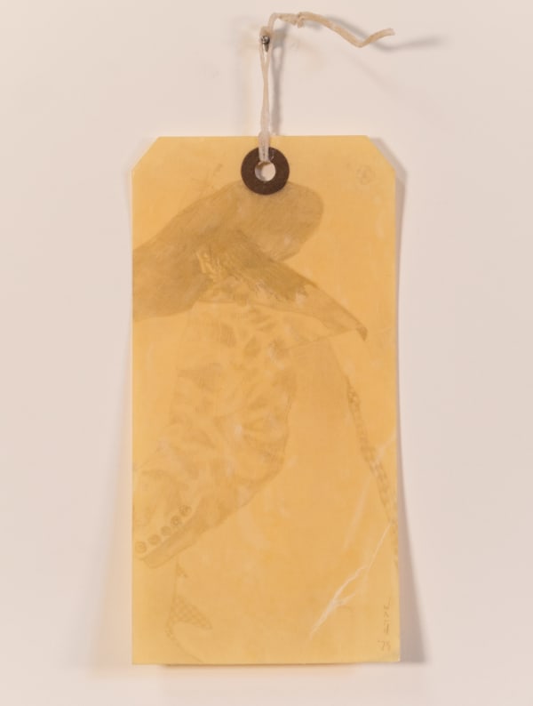 Nicholas Ward, Dream Take 21