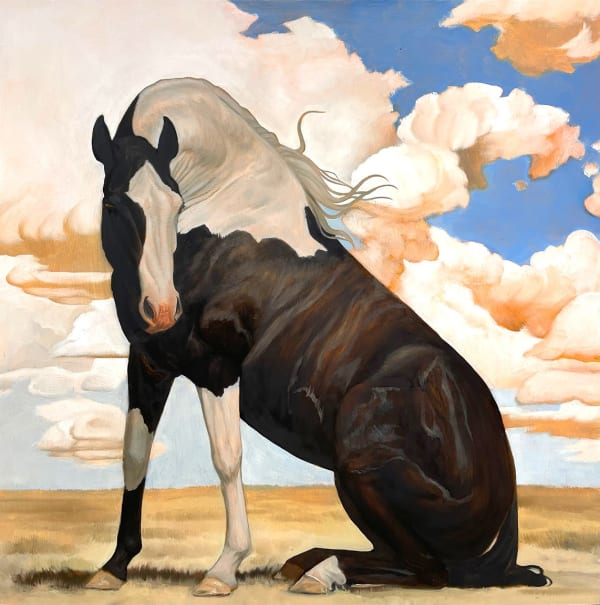 Kym Day - Pinto Sitting Proper