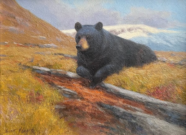 Scott Yeager, Autumn Bruin