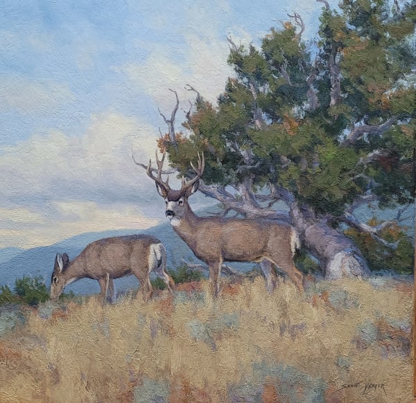 Scott Yeager, Early Fall