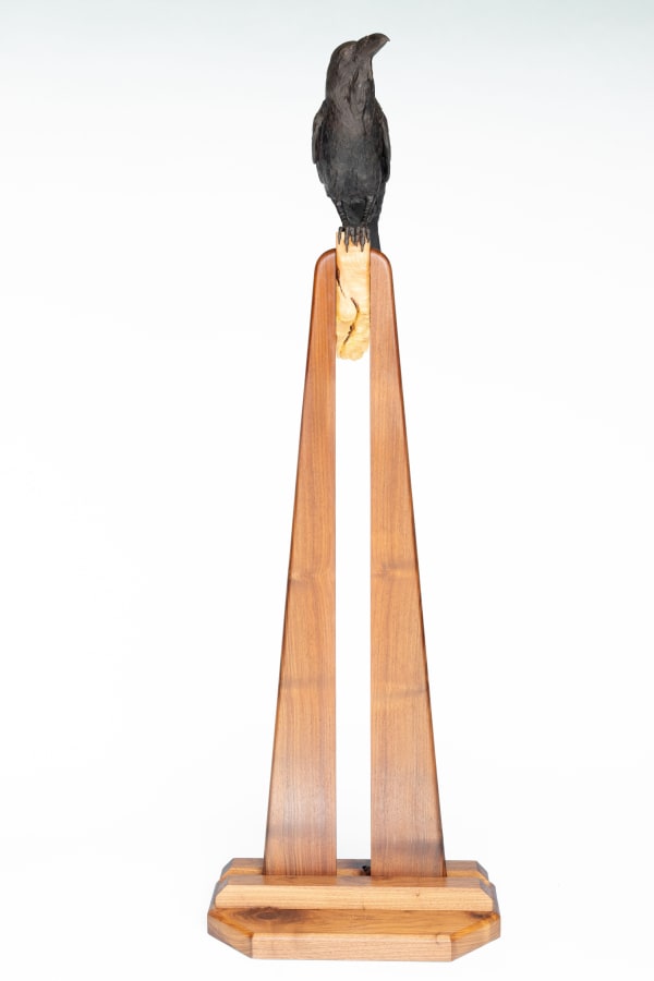 Tyrel Johnson, After the Fire