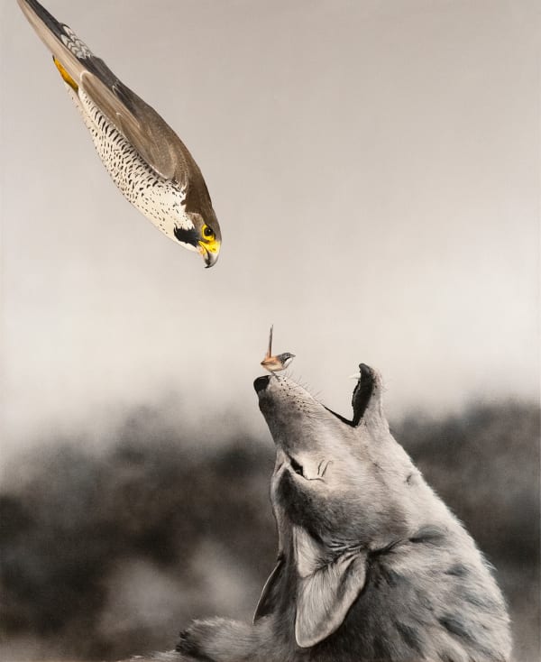 Heimir Björgúlfsson, This Will Solve Everything, 2024