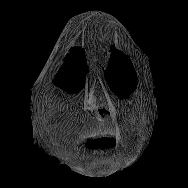 Barbara Astman, I as artifact #18, 2014