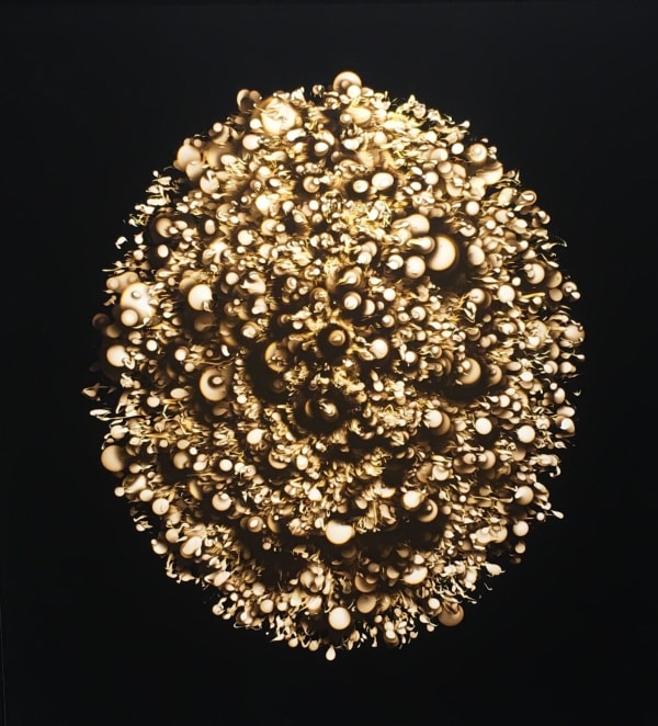 Sharon Switzer