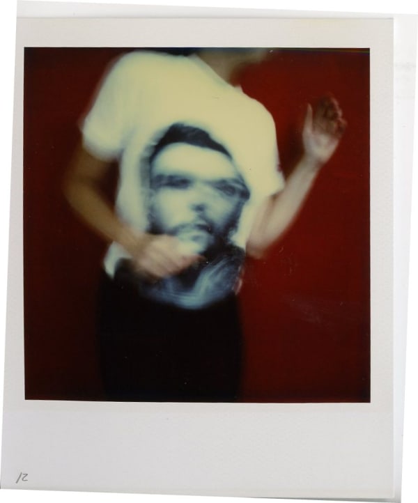 Barbara Astman, Dancing with Che, No.12, 2002