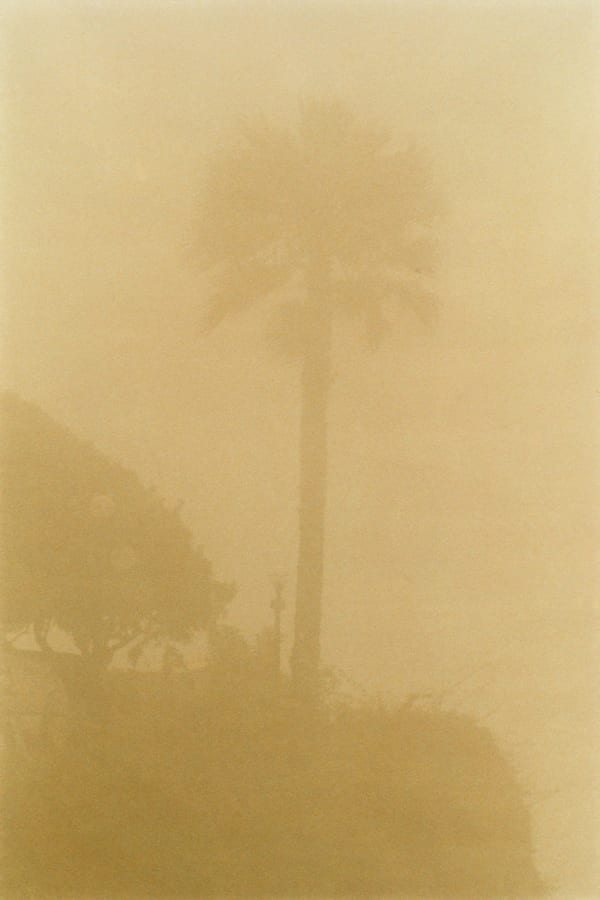 Frank Mädler, Farbe 4, 2018