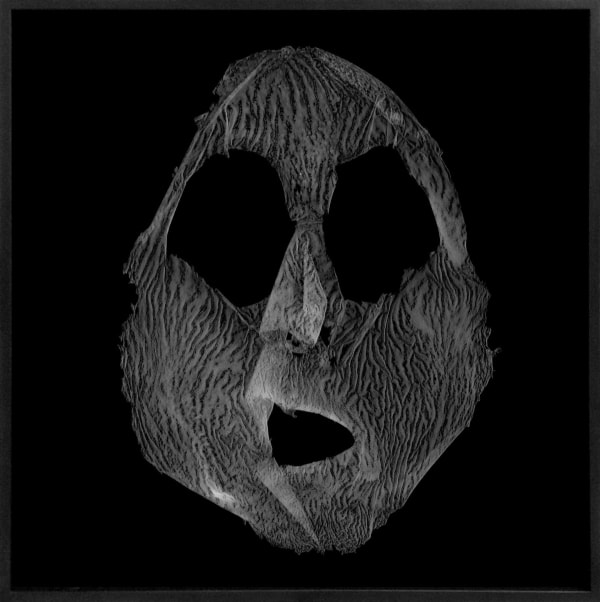 Barbara Astman, Face 17, series: I as artifact, 2008-2014