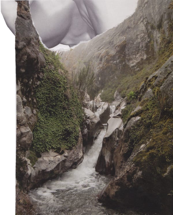 Sondra Meszaros, Bound #8, 2016