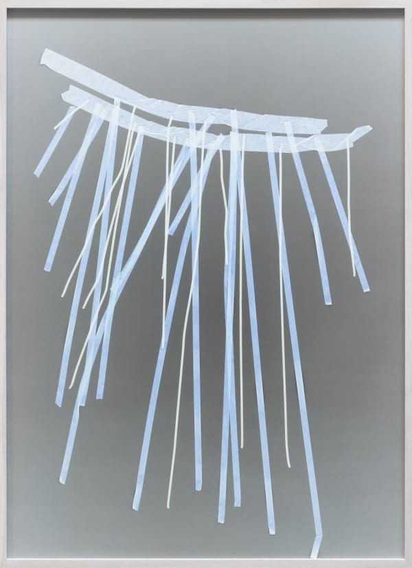 Photograms