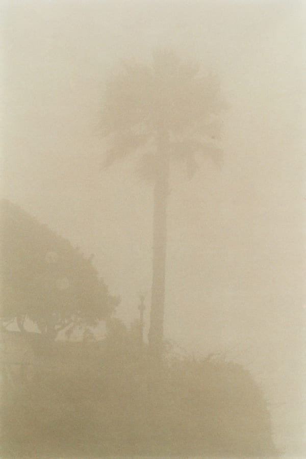 Frank Mädler, Farbe 1, 2018