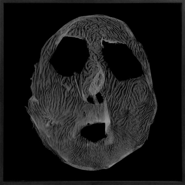 Barbara Astman, Face 8, series: i as artifact, 2008-2014