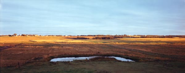 Thaddeus Holownia, Jolicure Pond #17, 1996-2004