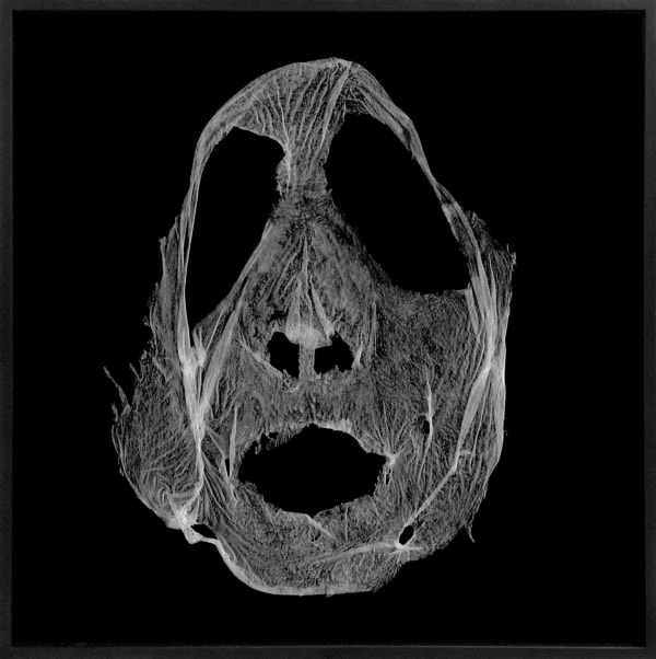 Barbara Astman, Face 4, 2008-2014