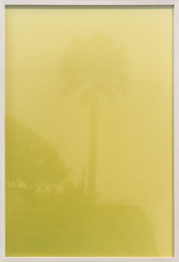 Frank Mädler, Farbe 8, 2018