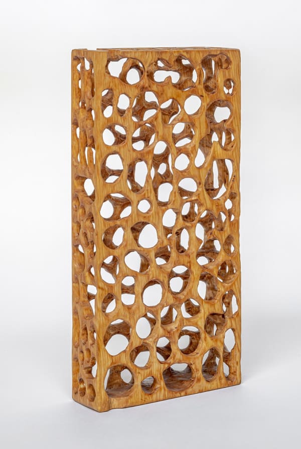 Peter Campbell, Pervious Structure, 2022