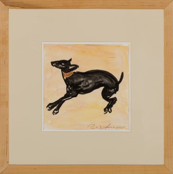 Paula De Luccia, Otello, 2016