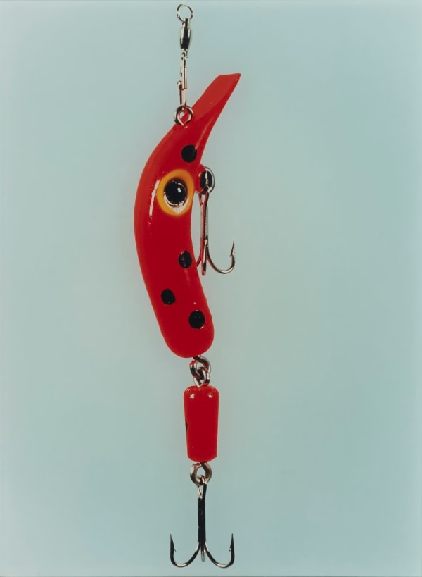 Lori Newdick, Super Suspending Rogue, 2001