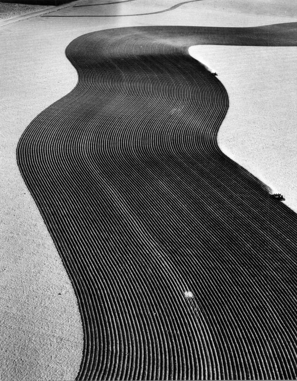 Margaret Bourke-White, Contour Plowing, Walsh, Colorado, 1954