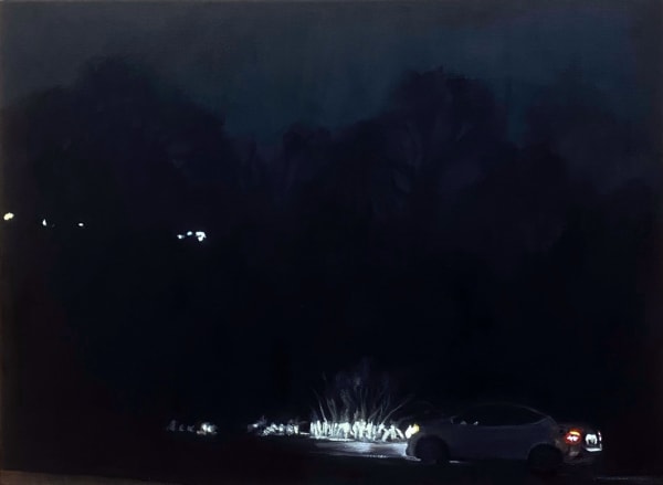 Danielle Vincent, Low Beams, 2024