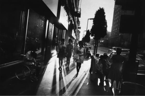 from Fifteen Photographs 1974