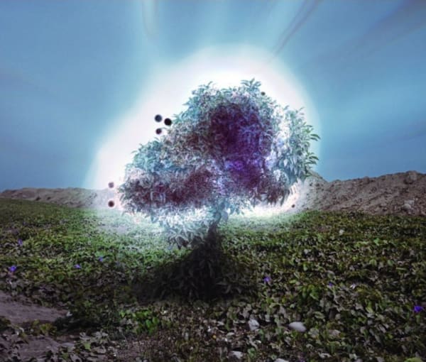 Andrés Marroquín Winkelmann, Paisajes Alterado #5, 2012/2014