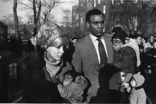 rom Fifteen Photographs 1974