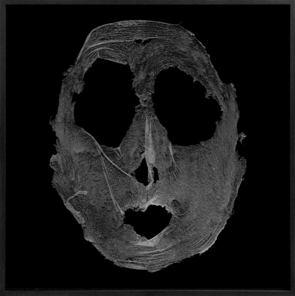 Barbara Astman, Face 3, 2008-2014