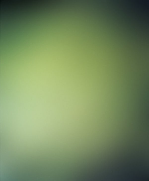 Andrés Marroquín Winkelmann, Paisajes Diversos, The Jungle, 2012-2014