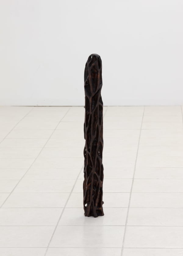 Peter Campbell, Morel Pillar, 2023