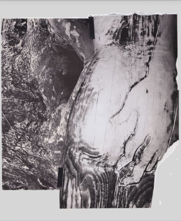 Sondra Meszaros, Bound #4, 2016