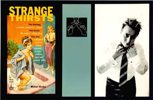 Lori Newdick, Strange Thirsts, 1999