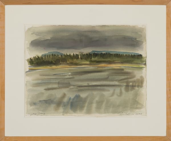 Paula De Luccia, Saratoga Passage, 2018