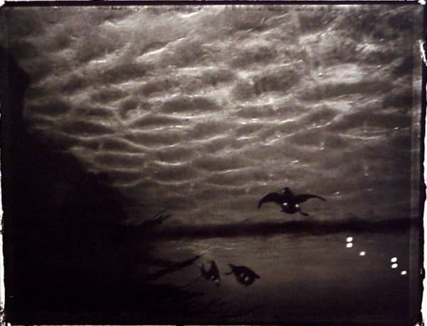 Sarah Moon, La Nuit, 1994
