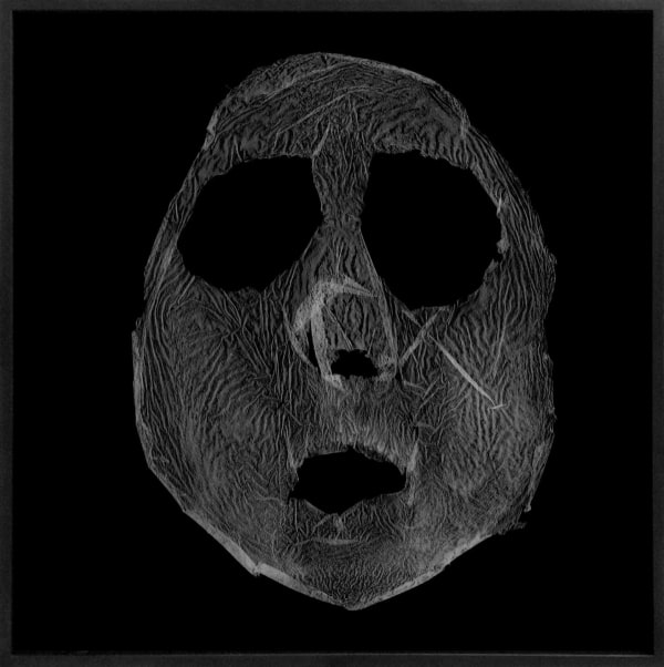 Barbara Astman, Face 15, series: i as artifact, 2008-2014