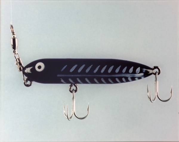 Lori Newdick, Zara Pooch, 2001