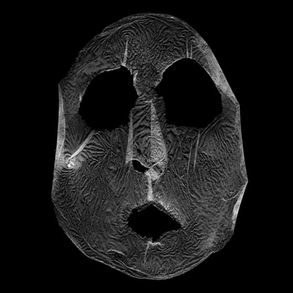 Barbara Astman, Face 10, series: i as artifact, 2008-2014