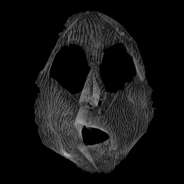 Barbara Astman, I as artifact #17, 2014