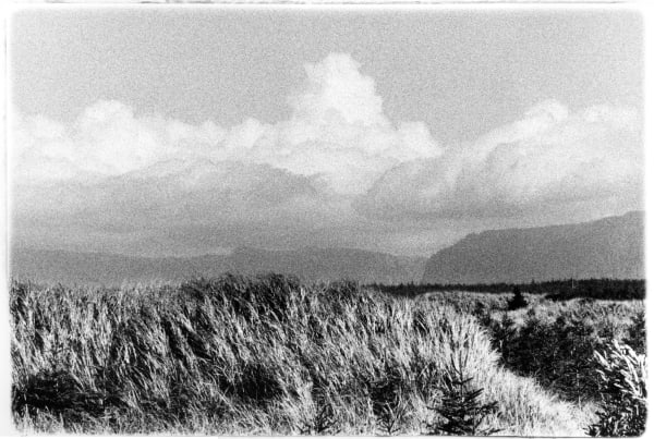 Carol Marino, Thunderhead Overhead, Nfld., part 2, 2000