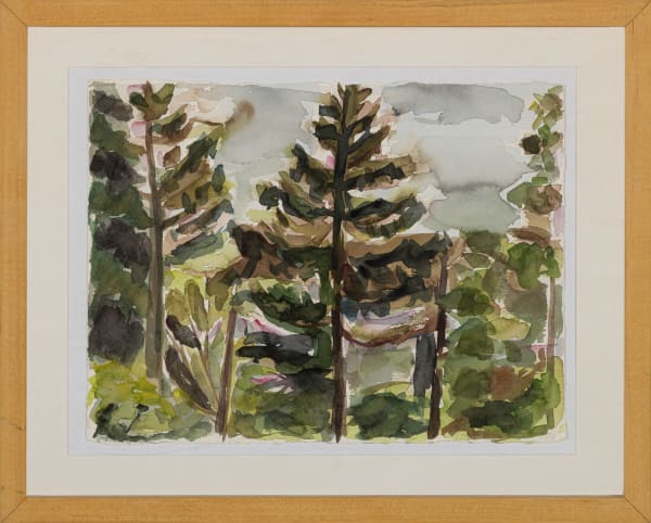 Paula De Luccia, Spruce Trees, 2009