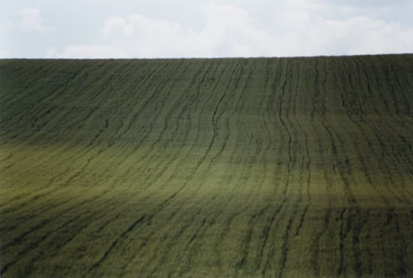 Wege