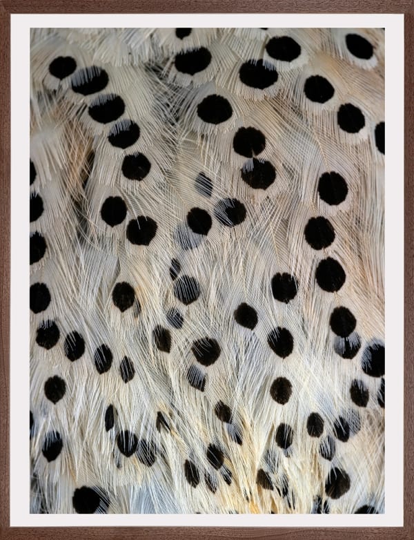 Thaddeus Holownia, Flicker #2, 2022