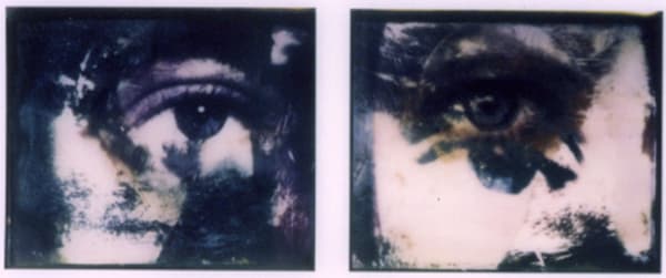Barbara Astman, #10, 1994-1995