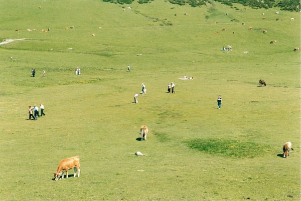 Grit Schwerdtfeger, Weide, 2006