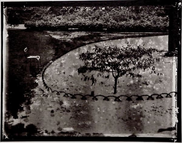 Sarah Moon, Jardin du Luxembourg, 1985