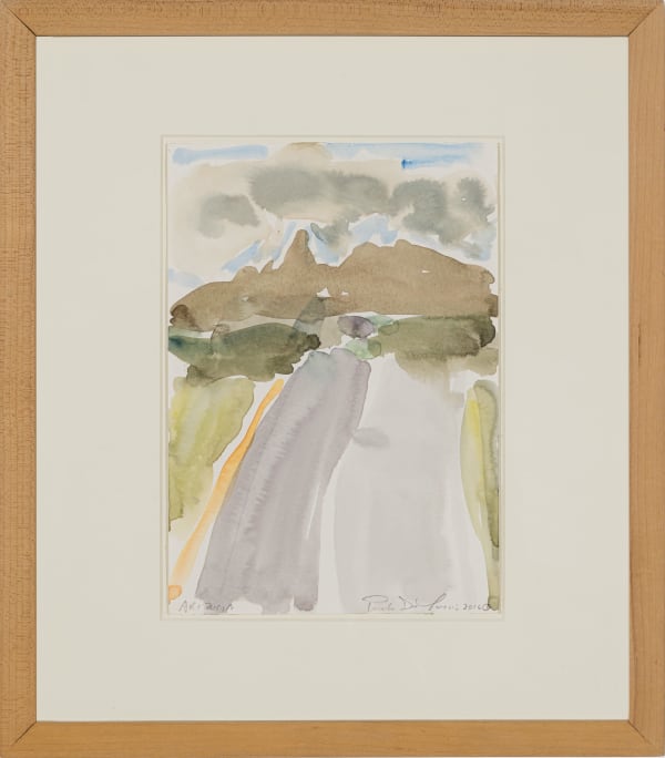 Paula De Luccia, Arizona, 2016