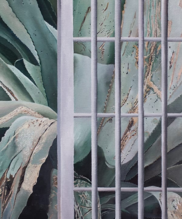 Uri Kloss, Agave Americana no. 1 , 2024