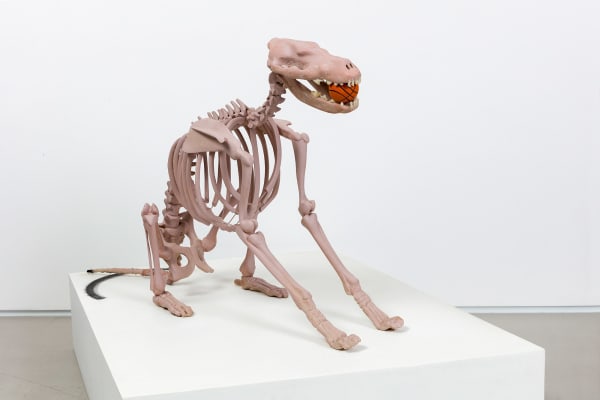 Tal Frank, Jeff's Dog, 2008